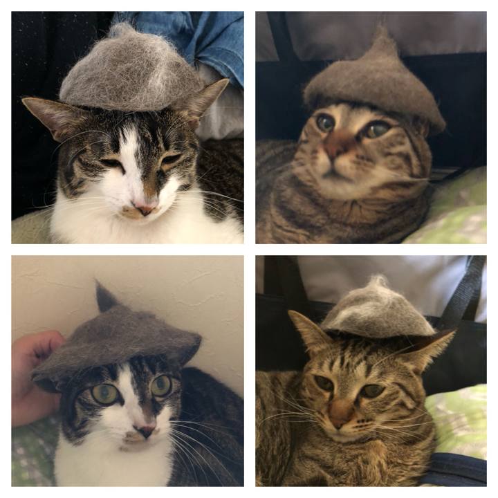 6d33cbf9 b42c 4927 96fb ef20081e0d93 1522642938227