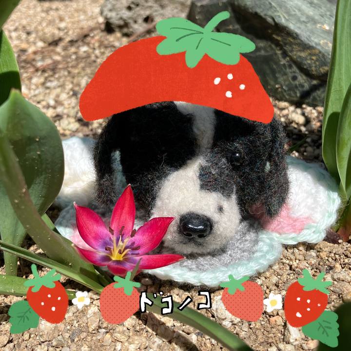 6d33e2ef a3c0 4a28 9bed d03447dcb1fb 1775365669735