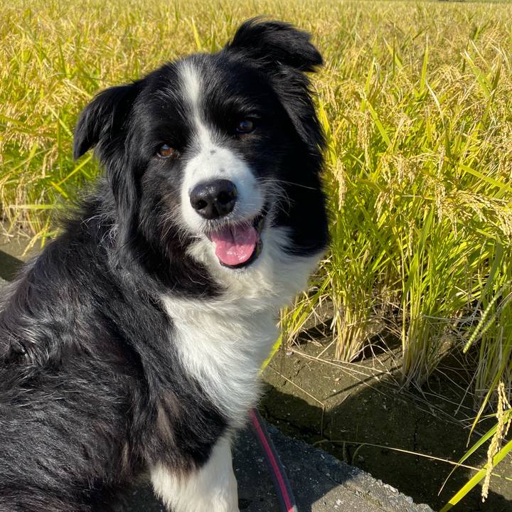 6d33f59e faed 48b1 9131 c14f44118e6a 1601339738548