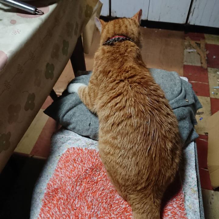 6d3423cb 3af4 42ee 9b28 d9da879cb08e 1574160894539