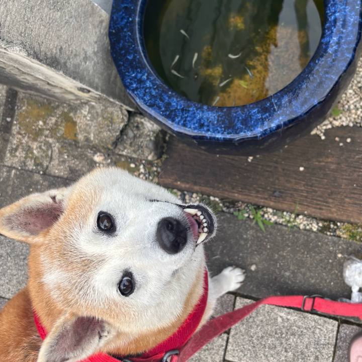 6d344020 f5b8 4c15 8957 8788ca395e6a 1749936055708