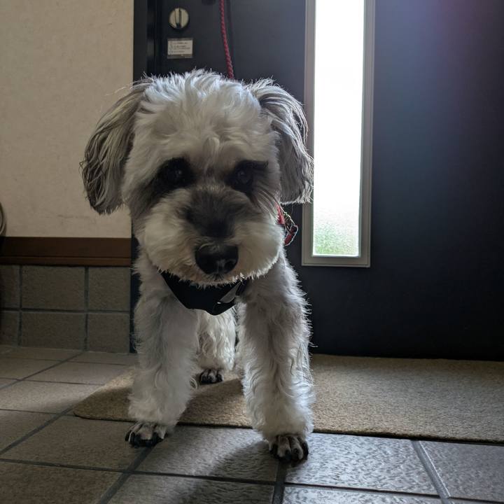 6d344074 3b33 4e2b b030 9ccda0e746cb 1752103434861