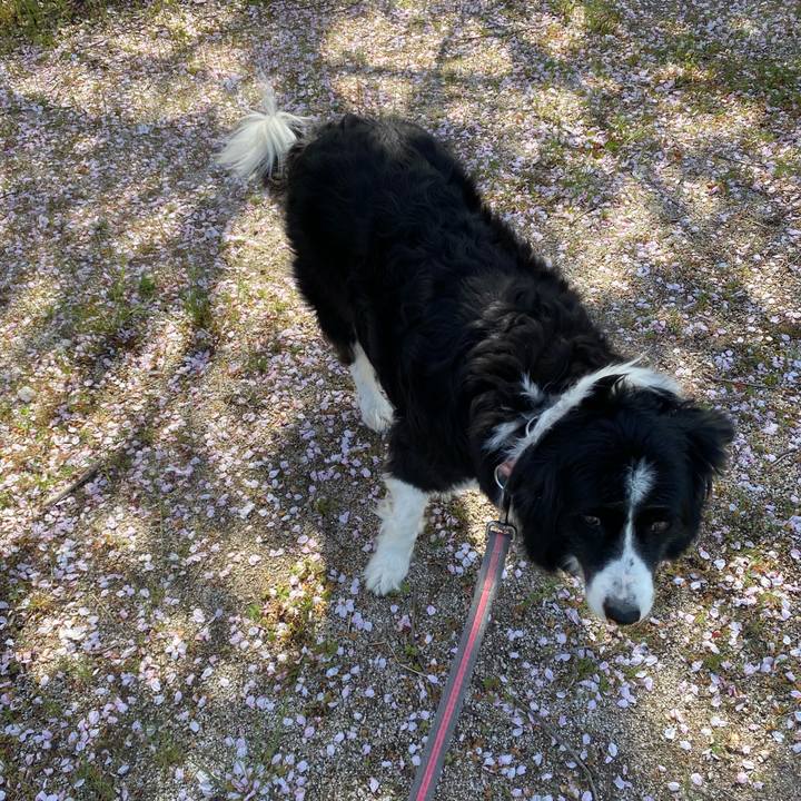 6d3454fb 37b7 402c bf34 c122cc3b9ae4 1680323503495