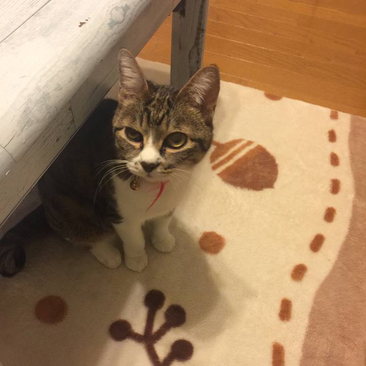 6d347509 e20b 4a63 941e d45a88d3e420 1554986007125