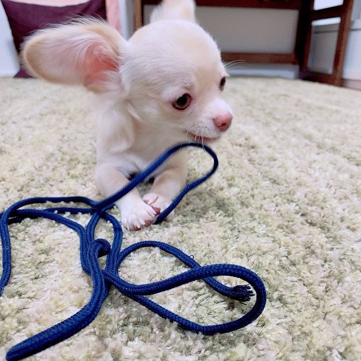 6d34b578 85ee 47b3 b26b b935f730b013 1594983541409