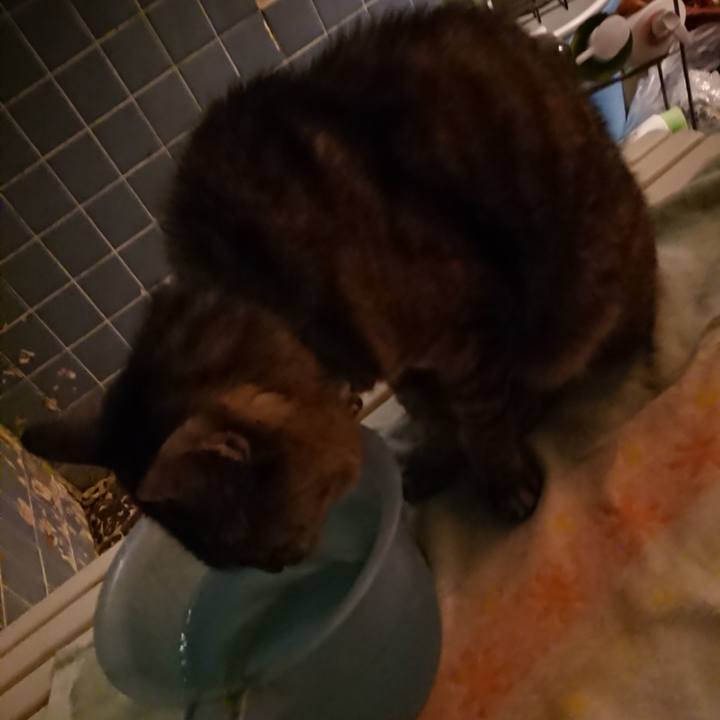 6d34baa2 051d 45ec 9d32 525199bb915b 1567074061268