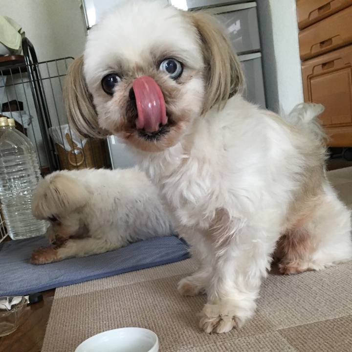 6d34f2f9 0846 4d67 910b 4b3cd414dff5 1625631275341