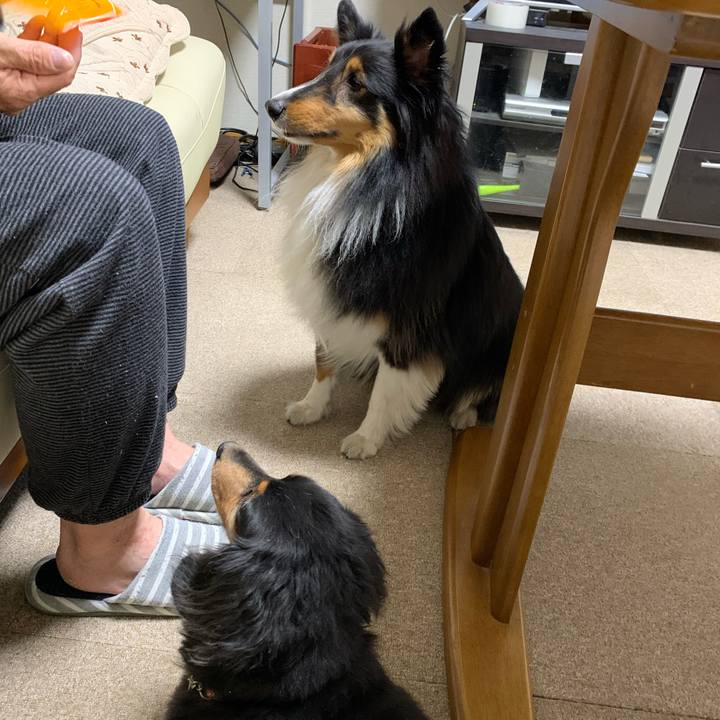 6d350cbc 8b17 412e 88da 9bb4716841b0 1589284605464