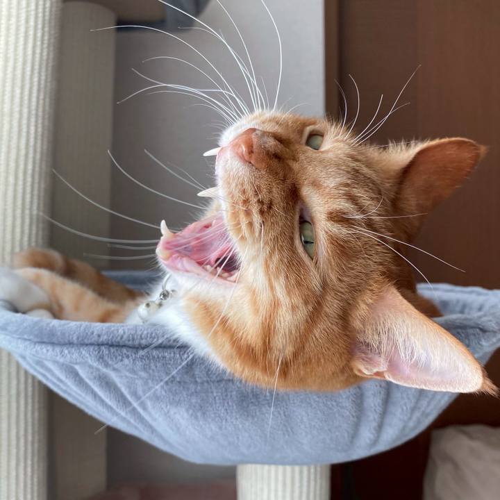 6d3511d3 563d 465d 9ace aaa1a94208e6 1763772234630