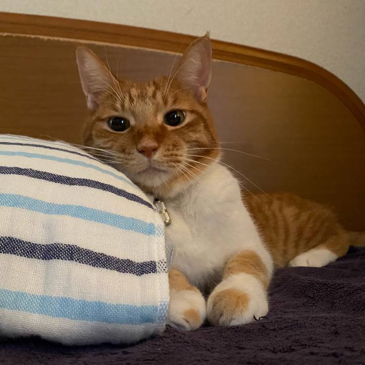 6d35184b 8667 4cc6 ba58 0d64d887caa7 1634035697791