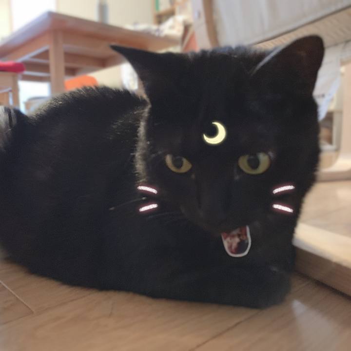 6d352a93 8a72 427d 8fe9 e09d7c1ed71c 1562597618472