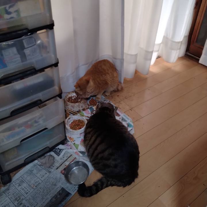 6d3539a6 365c 4102 8473 535a231d4350 1682631512638