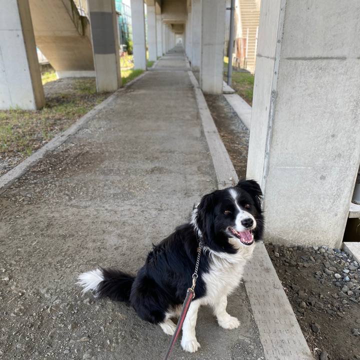 6d355759 ff41 4cdc a7c1 4892b6c8be28 1591664237576