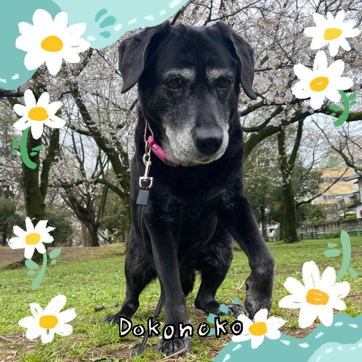 6d357959 e8de 415e af79 887a04a0ce43 1712236623914