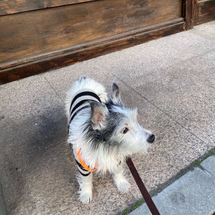 6d358871 58d0 43e5 b46d be641dece71d 1581414838558