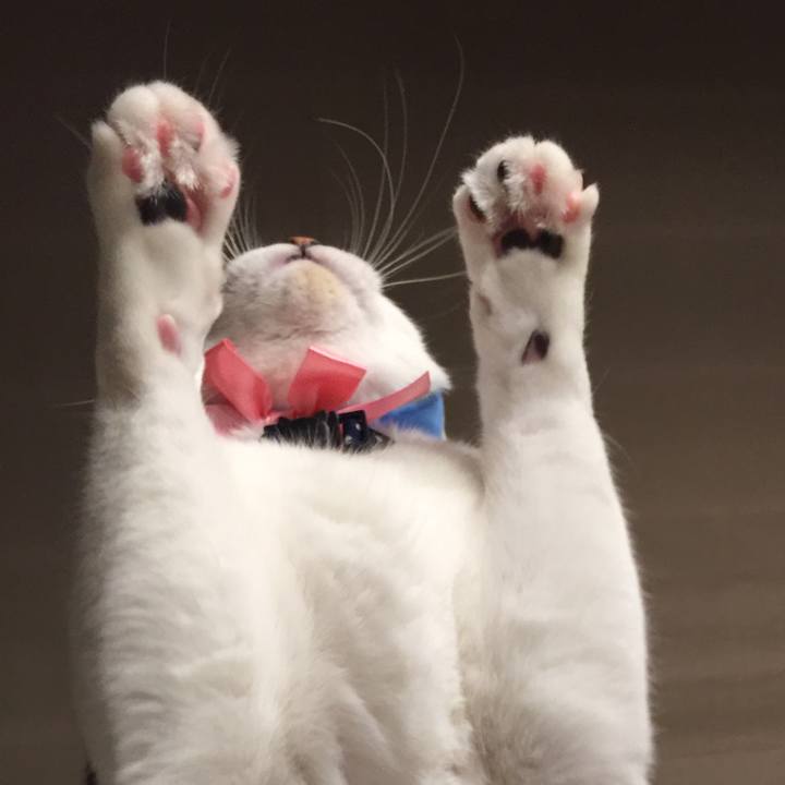 6d36414b c58a 4353 be47 f29496f083d0 1599364264223