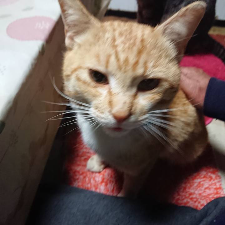 6d365385 aa71 40ab abd0 764b26b413ba 1556223147835