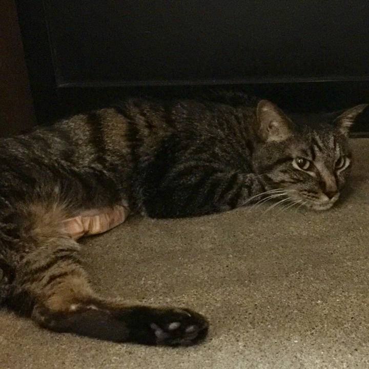 6d365a3d 02f9 452d 9332 6a5e193caa9a 1533731804691