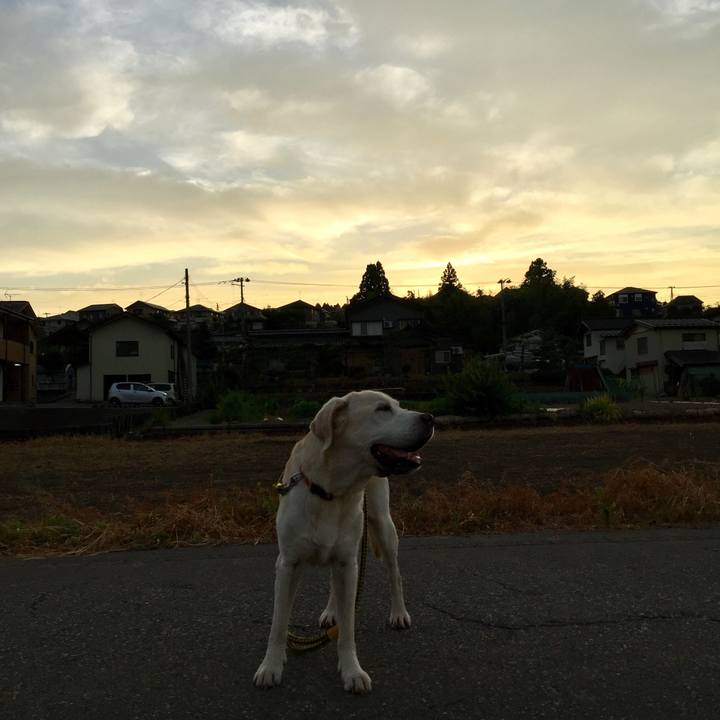 6d36a5ab 49a1 4c66 86db b9106cb3978a 1532690937118