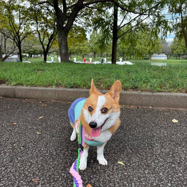 6d36acd9 845e 4379 9fde ae5e7f62f116 1757819380365