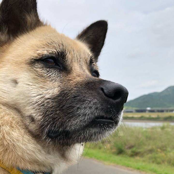 6d36e9c0 6243 4dfe b030 4efbefbba4fe 1559479627209