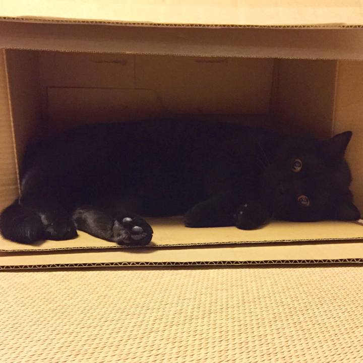 6d36f4ce e6d4 4ab6 b61c cbdf93223b68 1523625837708