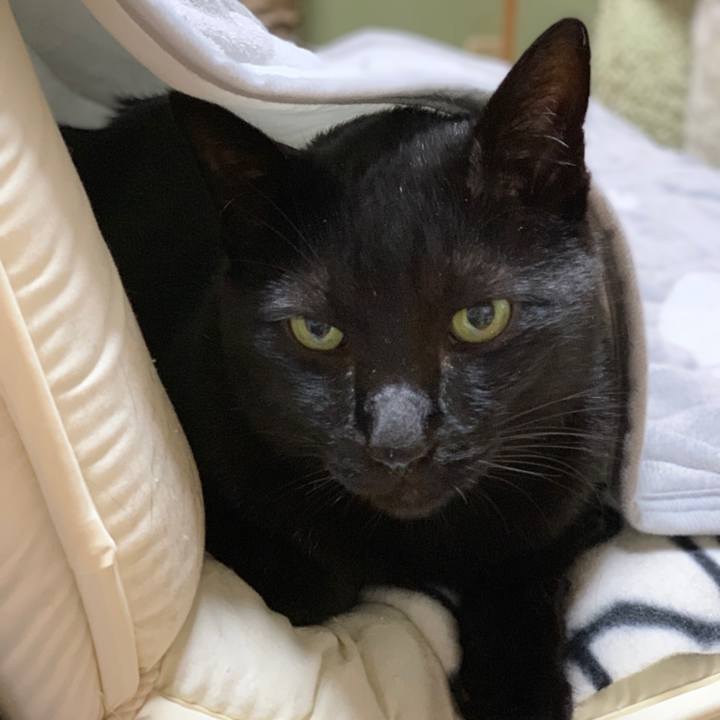 6d36fa51 ee8b 45b5 933f 4953d976bb59 1544489570692