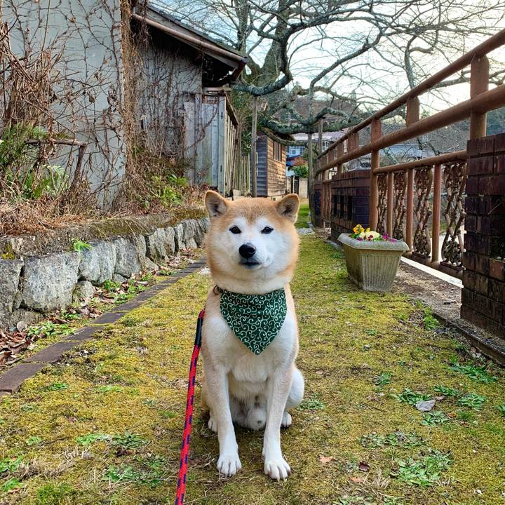 6d37179b a631 4fd3 adc2 b8b306a7e7ec 1674642849328