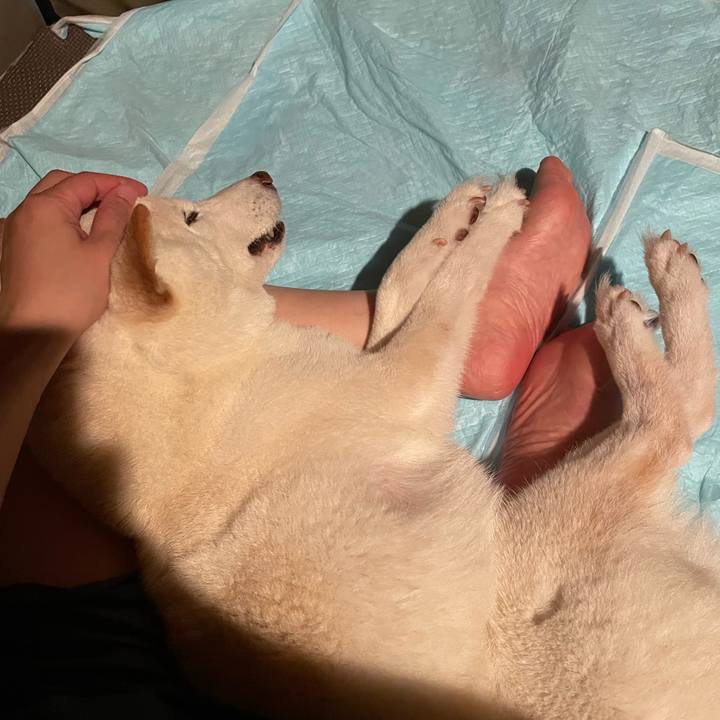 6d372460 d6e1 4fbf ac02 5aef18fb8b3f 1655310647337