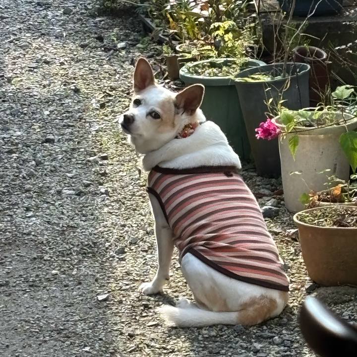 6d372ed5 22ed 4f0e b1d6 ea4376cb175f 1767694668379