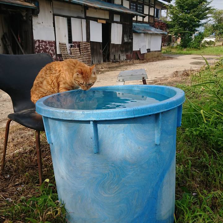 6d37303b 745b 4b78 8d98 edd0b3667c89 1658732885828