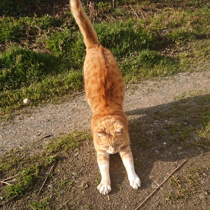 6d373fcf 61a4 4f62 8f39 905c528ce7f3 1585953132702