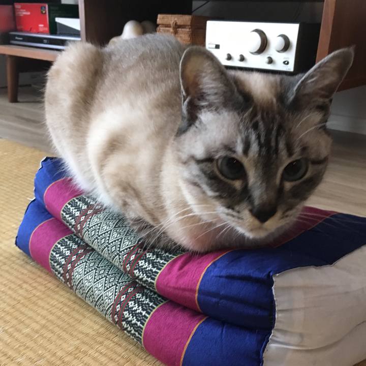 6d37502c 3f93 43c9 96dd aad2c39a0726 1587342349826