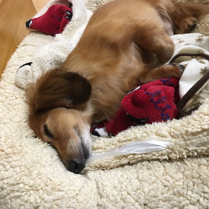 6d37657a 9fd6 461a 8cc6 b14fb0763180 1587905471256