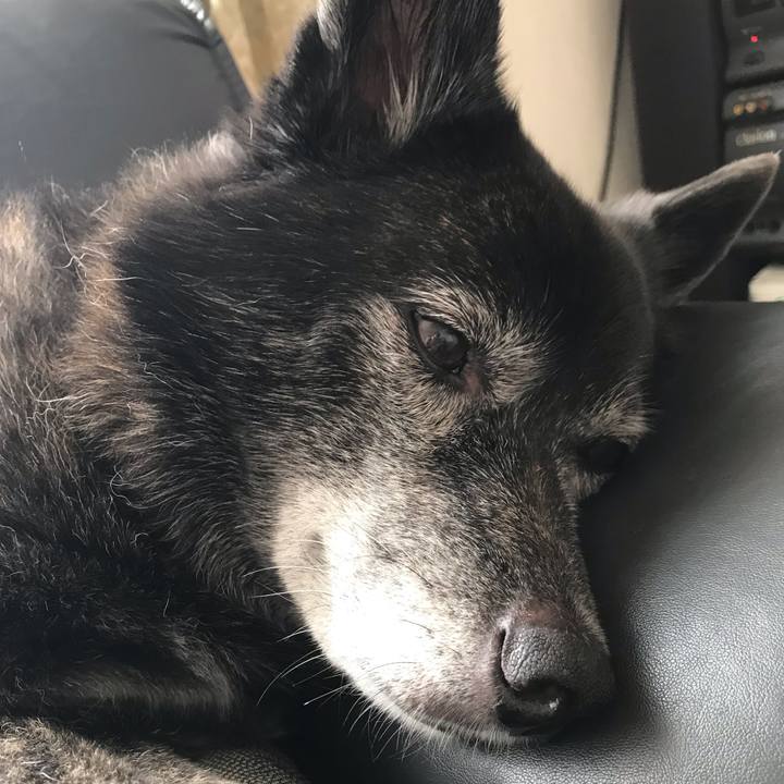 6d377d10 c481 4024 ab67 4392d389436f 1569991272797