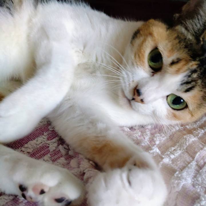 6d377fa4 63cb 4826 9b39 8d5748467ef7 1679201730835