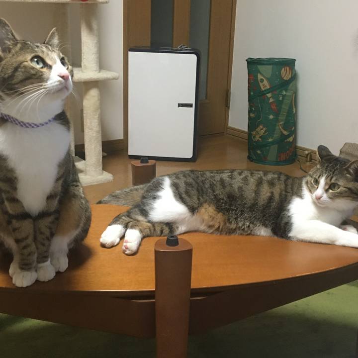 6d379939 fe73 4803 b8a4 6c9694e55978 1709641439892