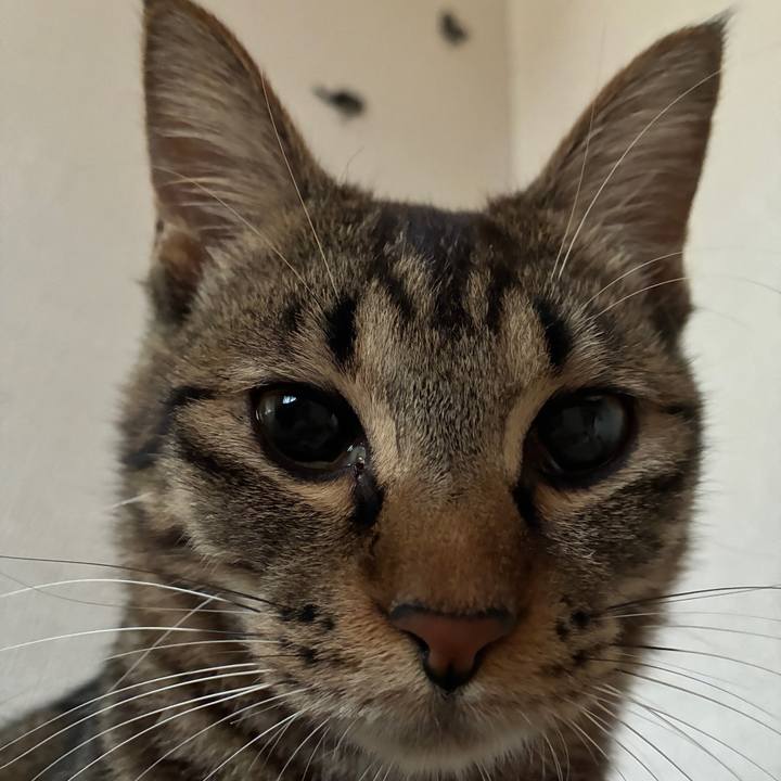 6d37bf1f 1ed2 4b7d bec1 63049f02f663 1755912370578