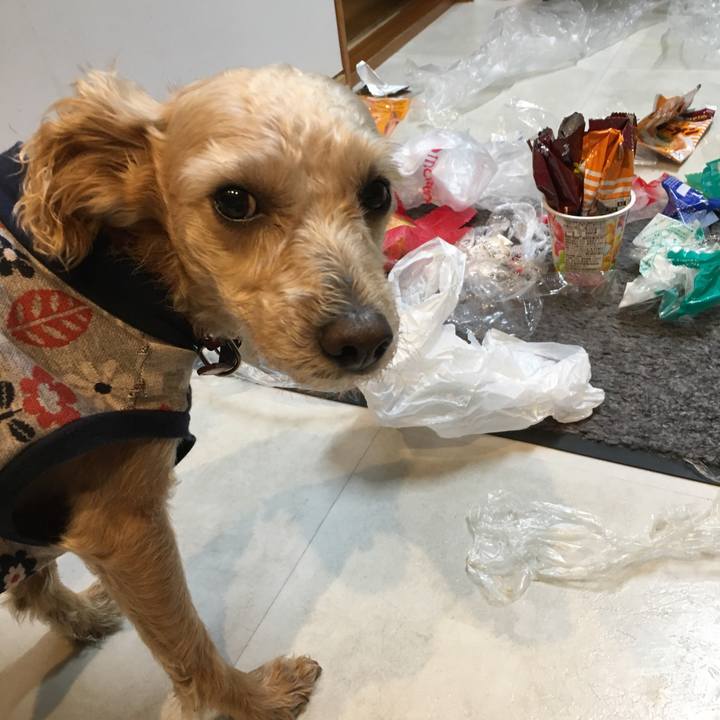 6d37d204 6dc6 408e a7d0 2663aa332c62 1570358126939