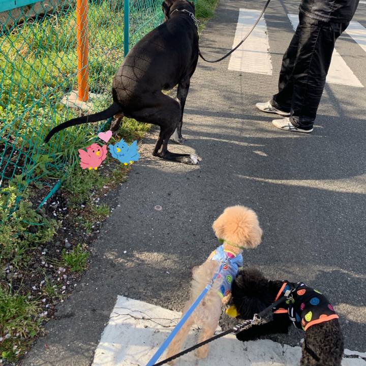 6d37d5d3 48e5 4ea5 8efc 47b3b4cb30a1 1555197977147