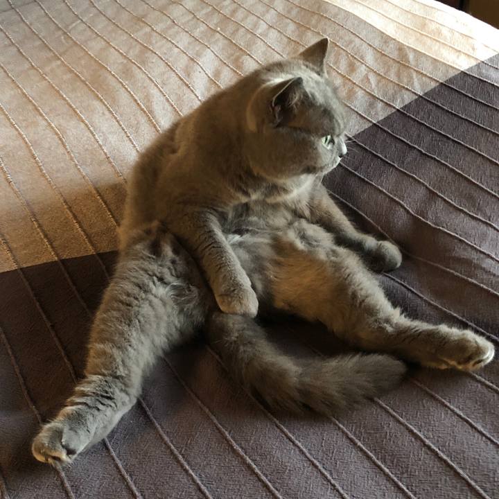 6d37e814 e2e8 4243 921a 6ecf0b393cd7 1566740572129