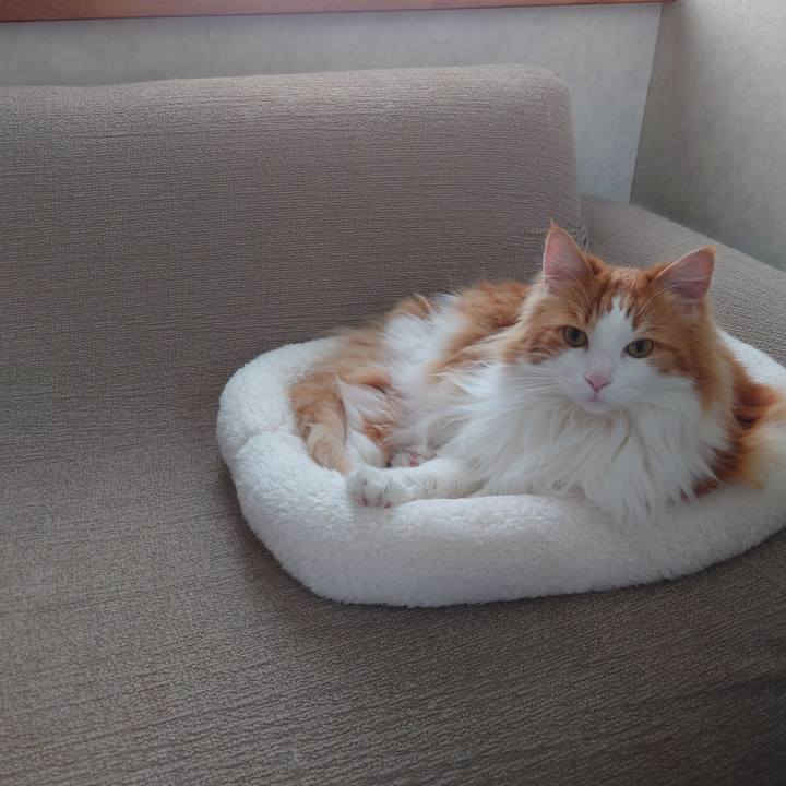 6d37f495 f06d 4189 8113 d28623841f90 1654847902932