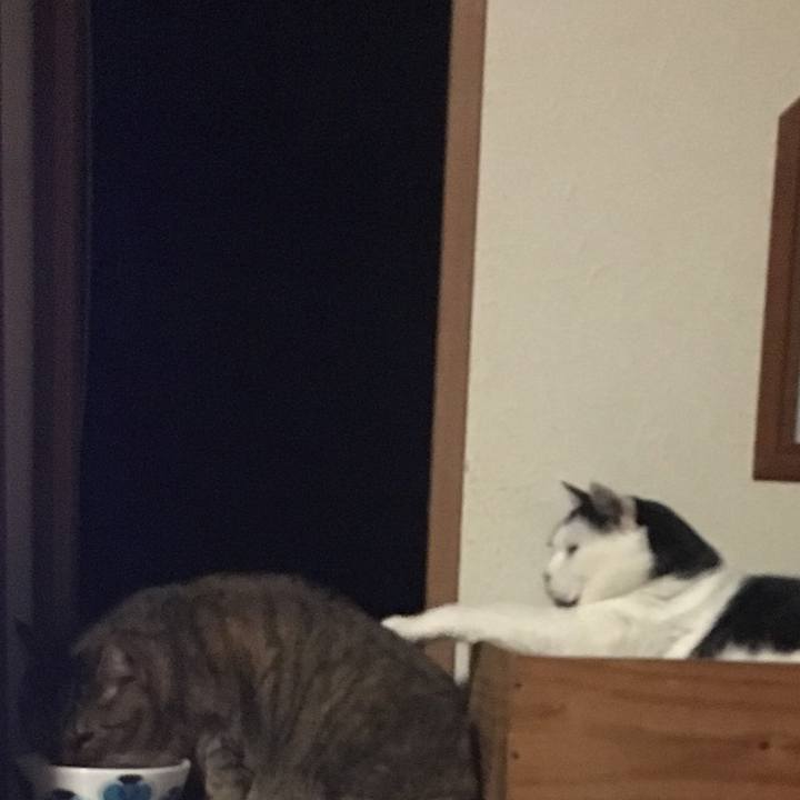 6d37fe4d 15b2 4b82 bf5d 0c59f9871b2b 1542705760354