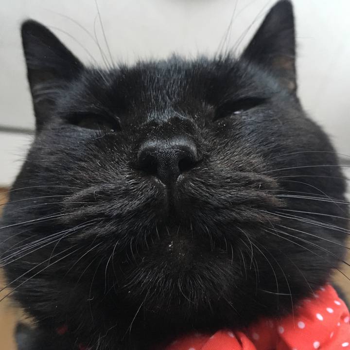 6d38166b b202 400c b4d8 174057907575 1550915960647