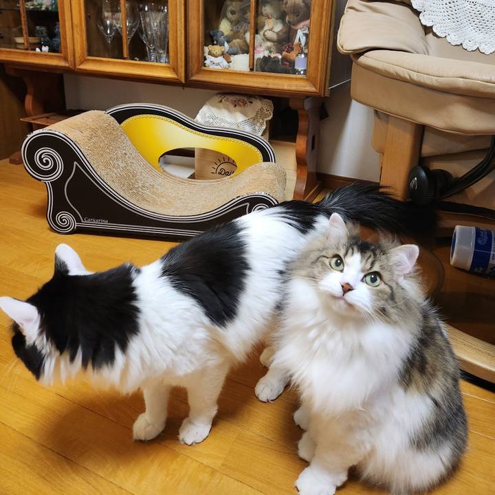 6d382403 302a 4ce3 aa2e 8bc5149aac65 1709293443245