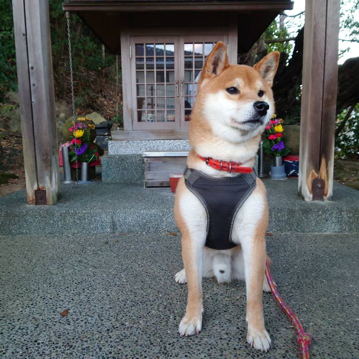 6d383a18 e622 46ae 8c5f 51aa1877b523 1770525504649