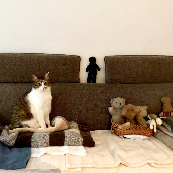 6d386afc 2e30 4e59 82c9 ba7c1f5b40b2 1551683557567