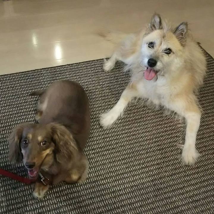 6d38b17e b799 4767 97c9 a1a19802abc2 1535158105987