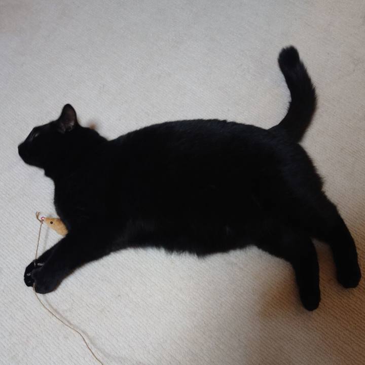 6d38b1ad 447e 4f5c 89c9 cfff7d078a82 1649722268126