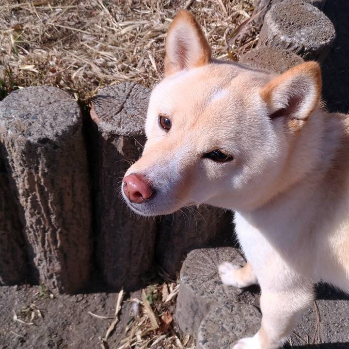 6d38c2f4 b08e 411b af93 b3ee51d2dabe 1518521118908